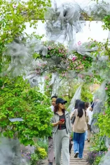 哪里有专门针对季后赛的心理训练课程_1